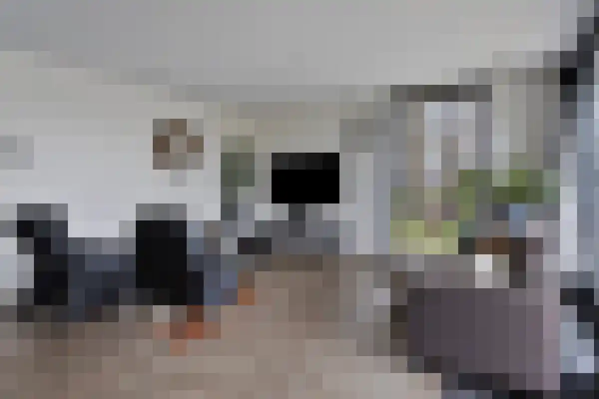 Vinkenlaan 4 Kamperland thumbnail 11