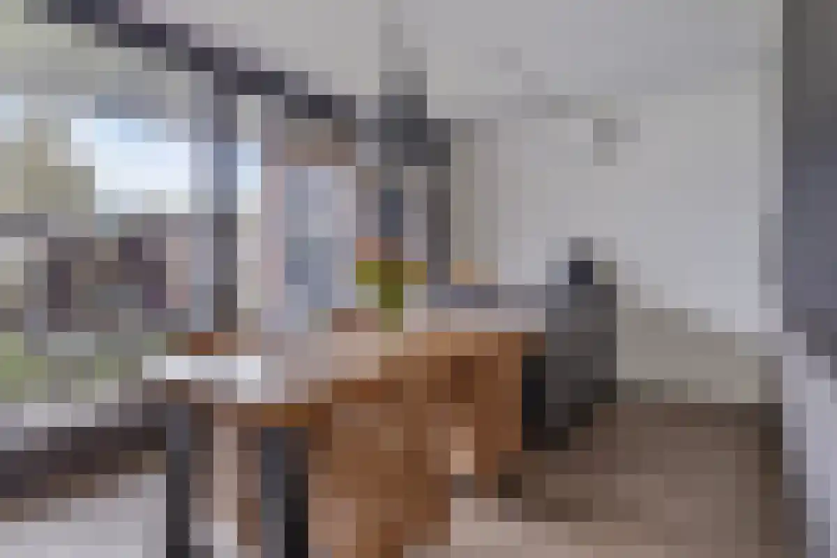 Vinkenlaan 4 Kamperland thumbnail 13
