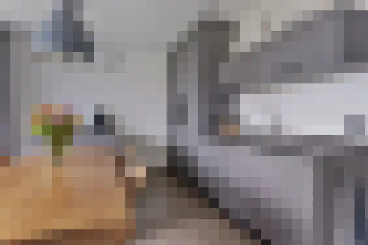 Vinkenlaan 4 Kamperland thumbnail 14