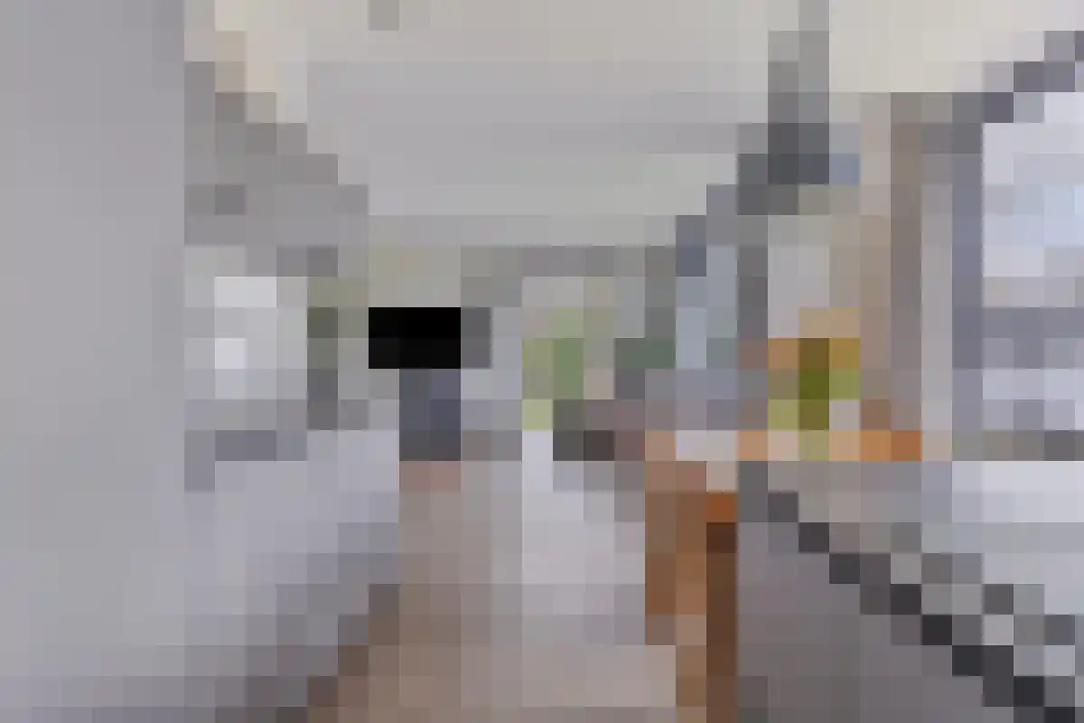Vinkenlaan 4 Kamperland thumbnail 15