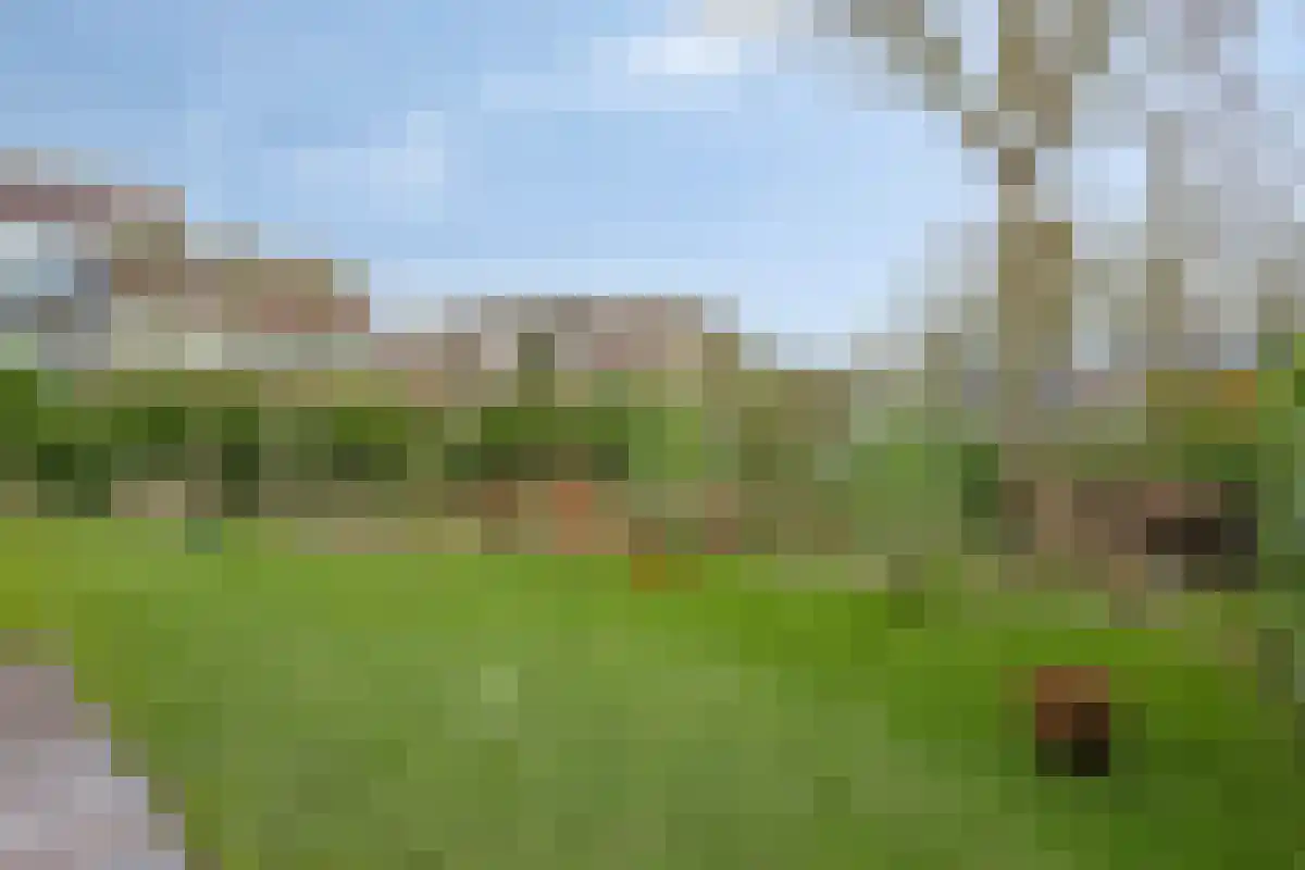 Vinkenlaan 4 Kamperland thumbnail 27