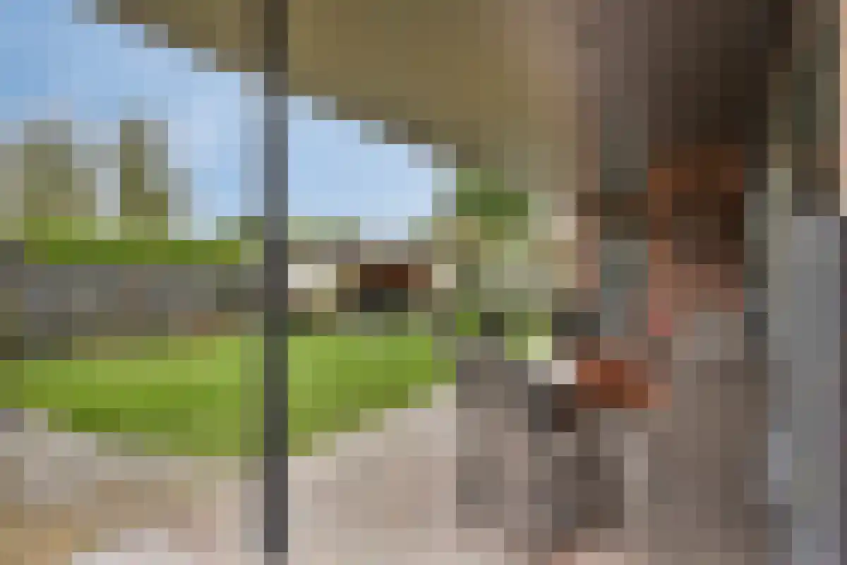Vinkenlaan 4 Kamperland thumbnail 28