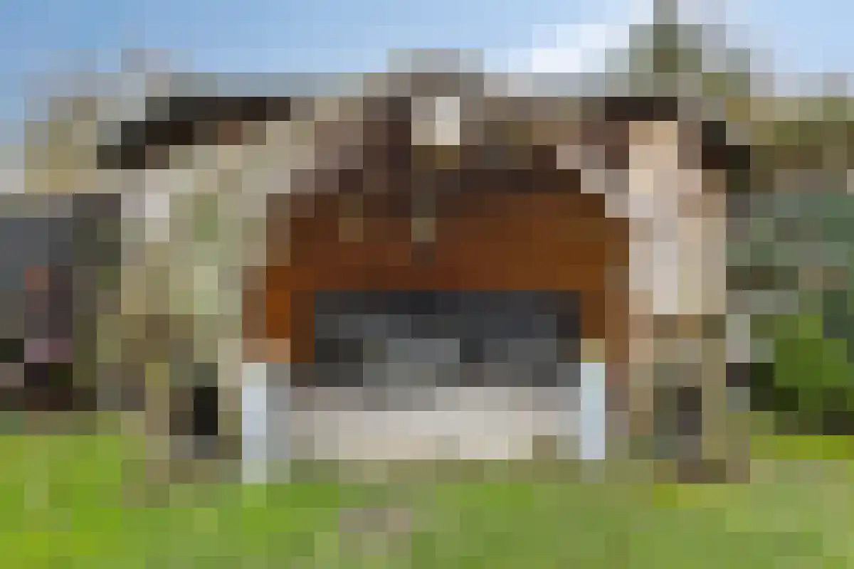 Vinkenlaan 4 Kamperland thumbnail 29
