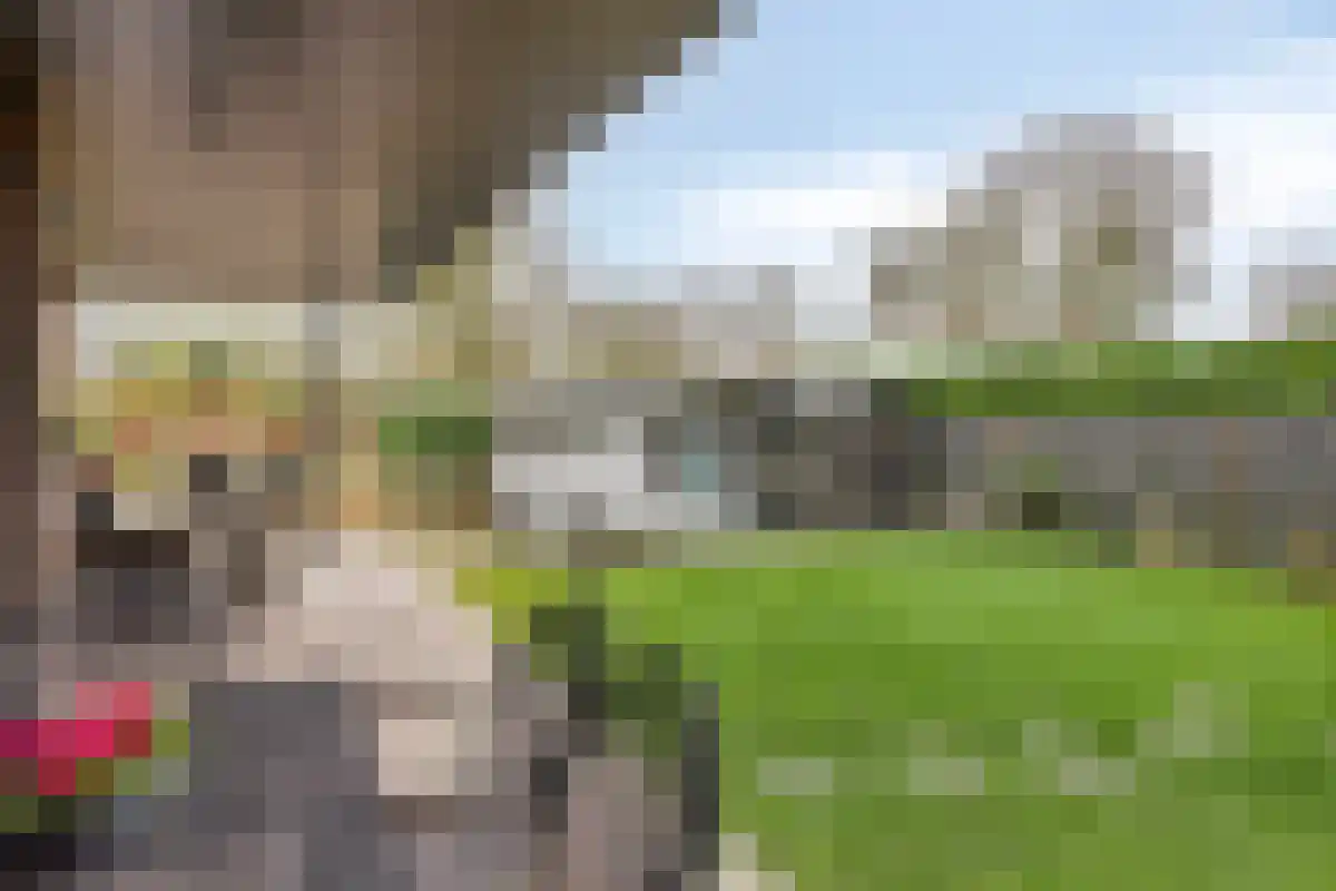 Vinkenlaan 4 Kamperland thumbnail 30