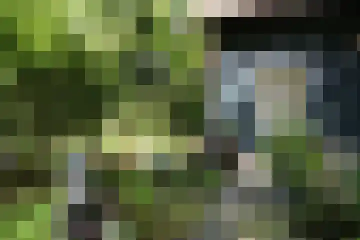 Vinkenlaan 42 B Malden thumbnail 10