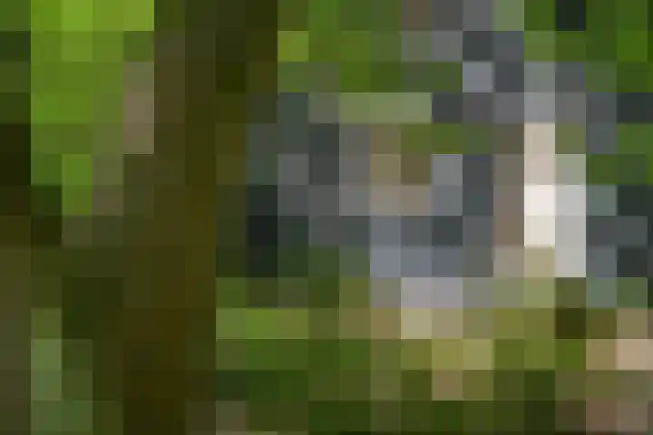 Vinkenlaan 42 B Malden thumbnail 12