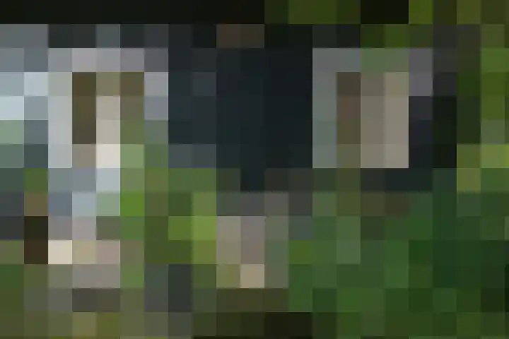 Vinkenlaan 42 B Malden thumbnail 14
