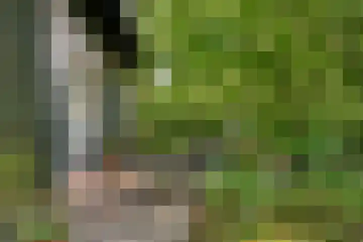 Vinkenlaan 42 B Malden thumbnail 15