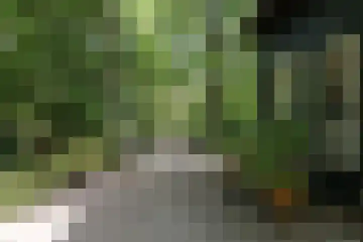 Vinkenlaan 42 B Malden thumbnail 16