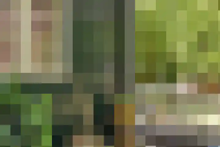 Vinkenlaan 42 B Malden thumbnail 37