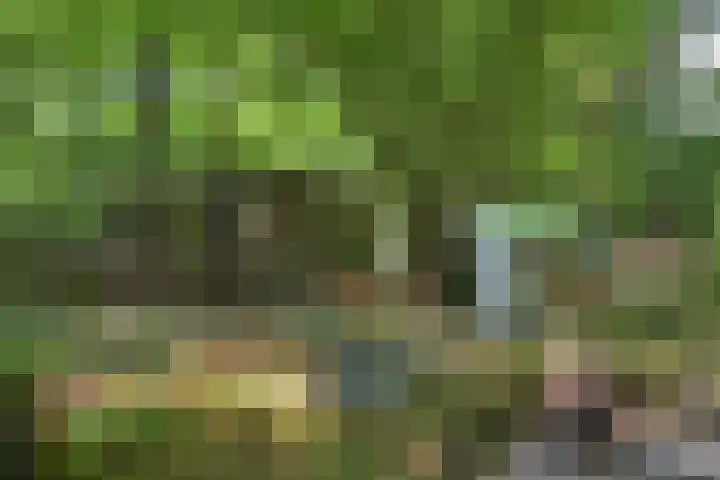 Vinkenlaan 42 B Malden thumbnail 44
