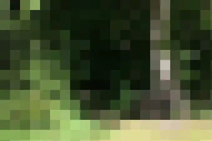 Vinkenlaan 42 B Malden thumbnail 47