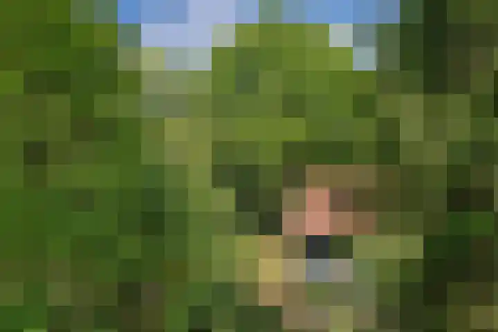 Vinkenlaan 42 B Malden thumbnail 5