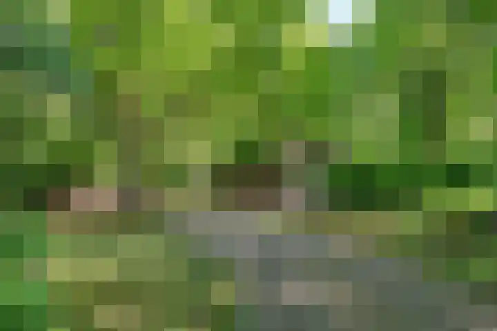 Vinkenlaan 42 B Malden thumbnail 52