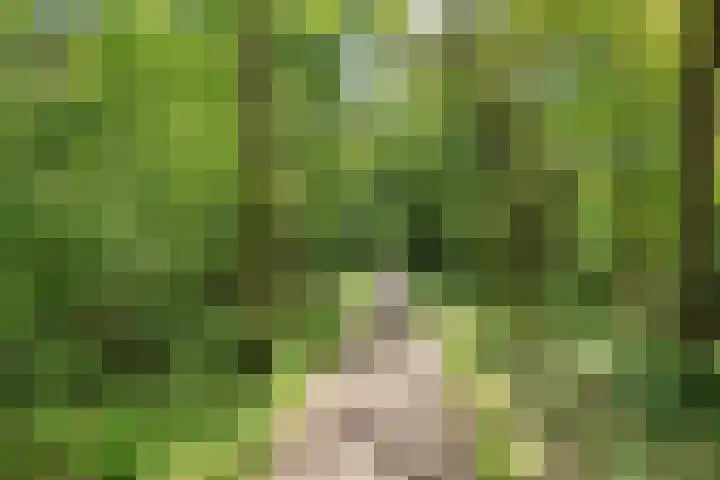 Vinkenlaan 42 B Malden thumbnail 57