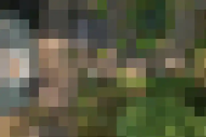 Vinkenlaan 42 B Malden thumbnail 8