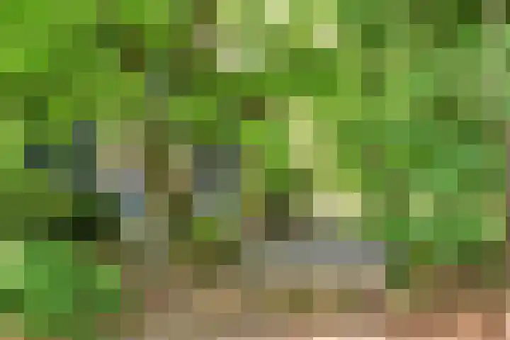 Vinkenlaan 42 B Malden thumbnail 9