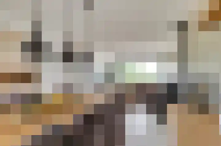 Vinkenlaan 6 Vuren thumbnail 10