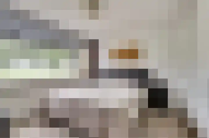 Vinkenlaan 6 Vuren thumbnail 17