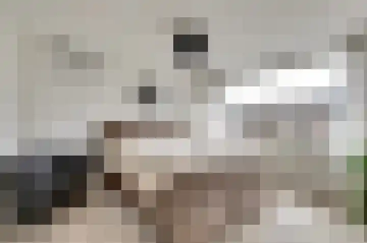 Vinkenlaan 6 Vuren thumbnail 19