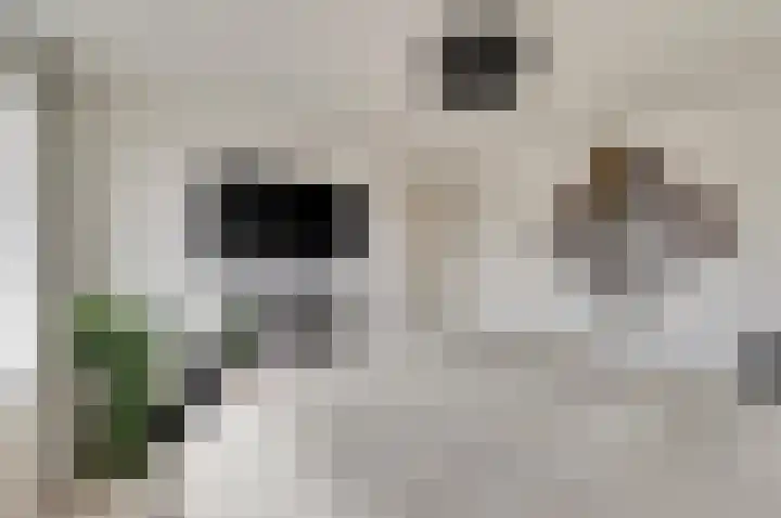 Vinkenlaan 6 Vuren thumbnail 20