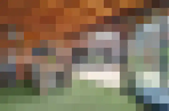 Vinkenlaan 6 Vuren thumbnail 28