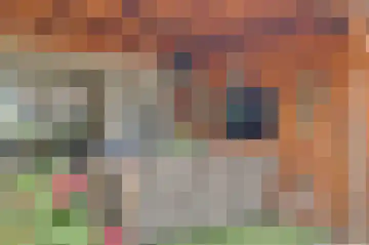 Vinkenlaan 6 Vuren thumbnail 29