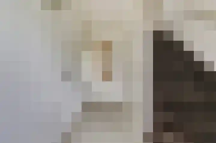 Vinkenlaan 6 Vuren thumbnail 7