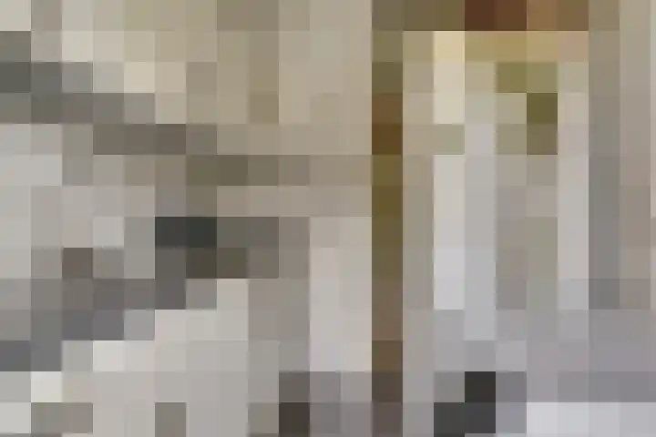 Vinkenlaan 7 Dieren thumbnail 10