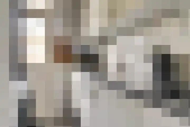 Vinkenlaan 7 Dieren thumbnail 11