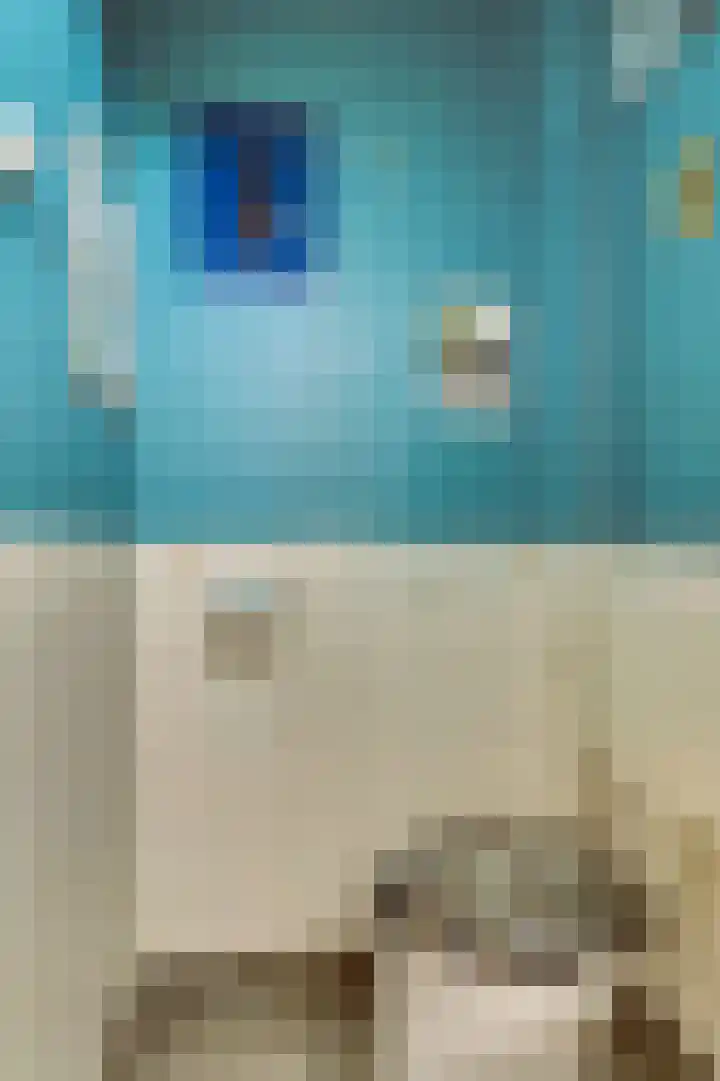 Vinkenlaan 7 Dieren thumbnail 12