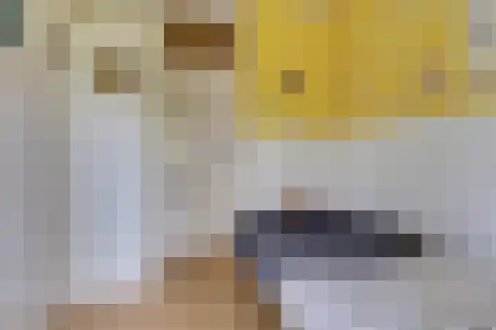 Vinkenlaan 7 Dieren thumbnail 14
