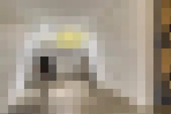 Vinkenlaan 7 Dieren thumbnail 18