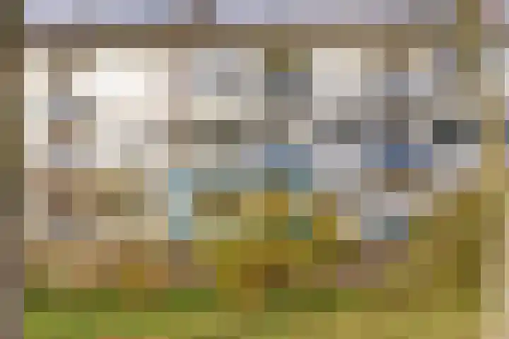 Vinkenlaan 7 Dieren thumbnail 19