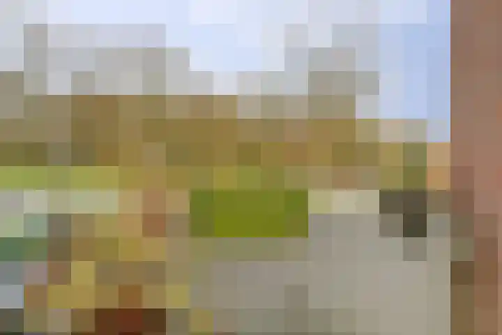 Vinkenlaan 7 Dieren thumbnail 9