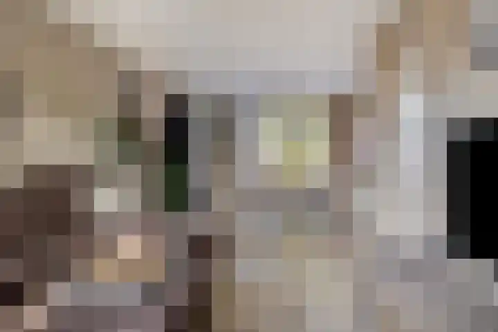 Vinkenlaan 7 Nieuwe Pekela thumbnail 10