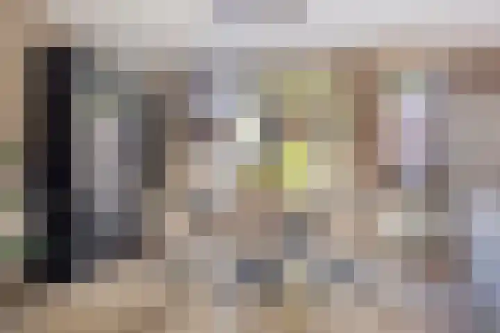 Vinkenlaan 7 Nieuwe Pekela thumbnail 11