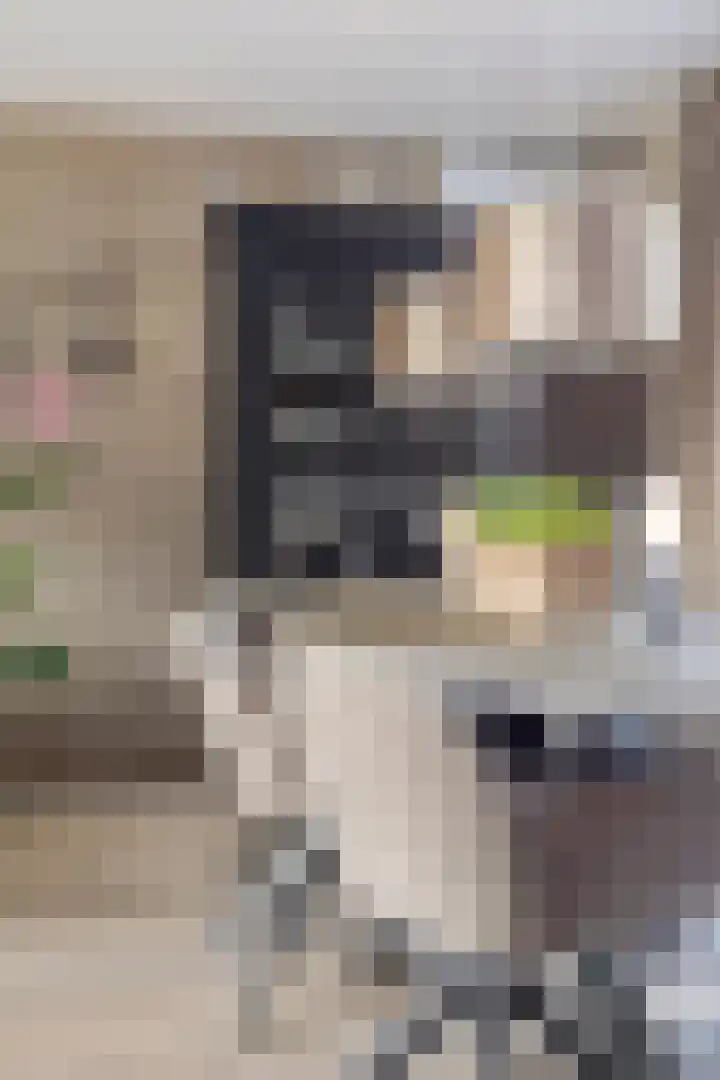 Vinkenlaan 7 Nieuwe Pekela thumbnail 12