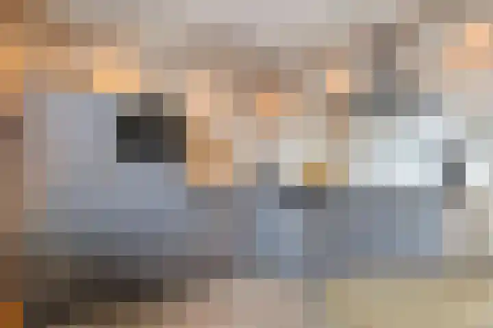 Vinkenlaan 7 Nieuwe Pekela thumbnail 15