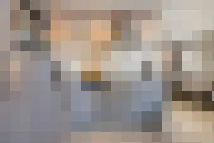 Vinkenlaan 7 Nieuwe Pekela thumbnail 16