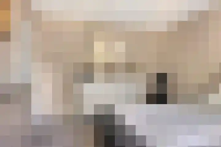 Vinkenlaan 7 Nieuwe Pekela thumbnail 20