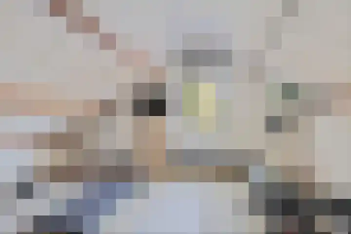 Vinkenlaan 7 Nieuwe Pekela thumbnail 28