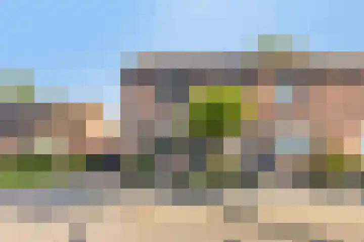 Vinkenlaan 7 Nieuwe Pekela foto 3