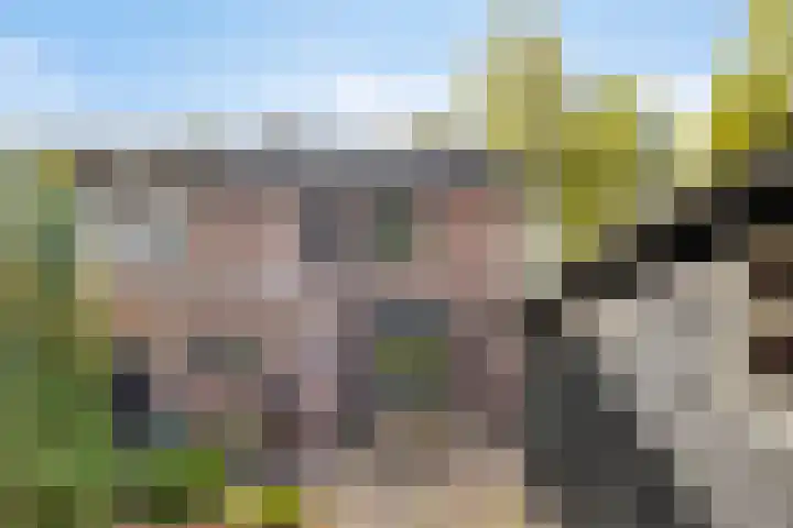 Vinkenlaan 7 Nieuwe Pekela thumbnail 30