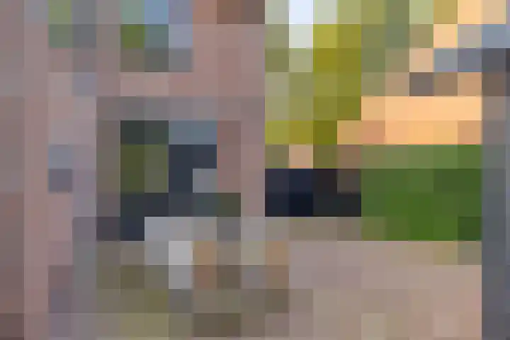 Vinkenlaan 7 Nieuwe Pekela thumbnail 31