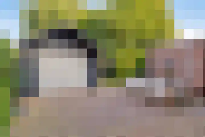 Vinkenlaan 7 Nieuwe Pekela thumbnail 32