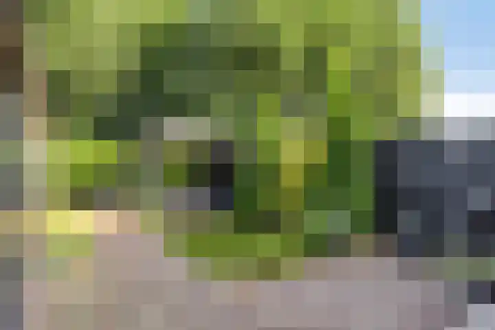 Vinkenlaan 7 Nieuwe Pekela thumbnail 33