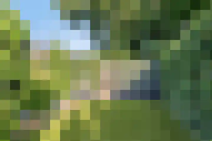 Vinkenlaan 7 Nieuwe Pekela thumbnail 34