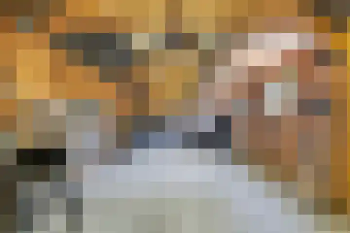 Vinkenlaan 7 Nieuwe Pekela thumbnail 35