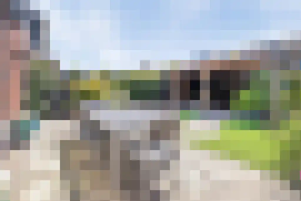 Vinkenlande 25 Pijnacker thumbnail 12